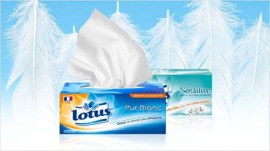 … quant aux boites, elles seront idéales chez nous, au bureau ou encore dans nos voitures.