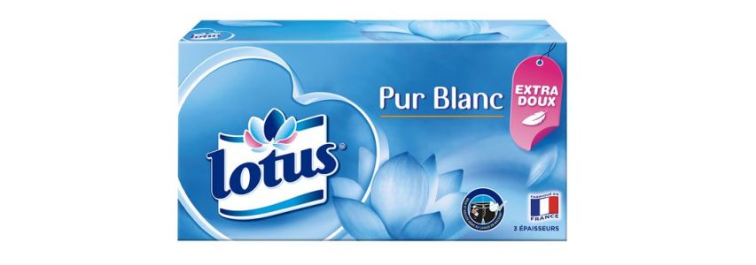 Lotus Pur Blanc