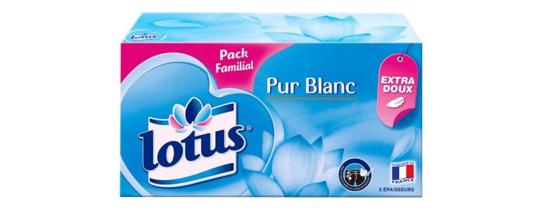 Lotus Pur Blanc