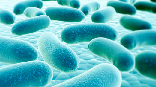 Bactéries et virus viennent de partout et se diffusent largement, notamment quand on se mouche…