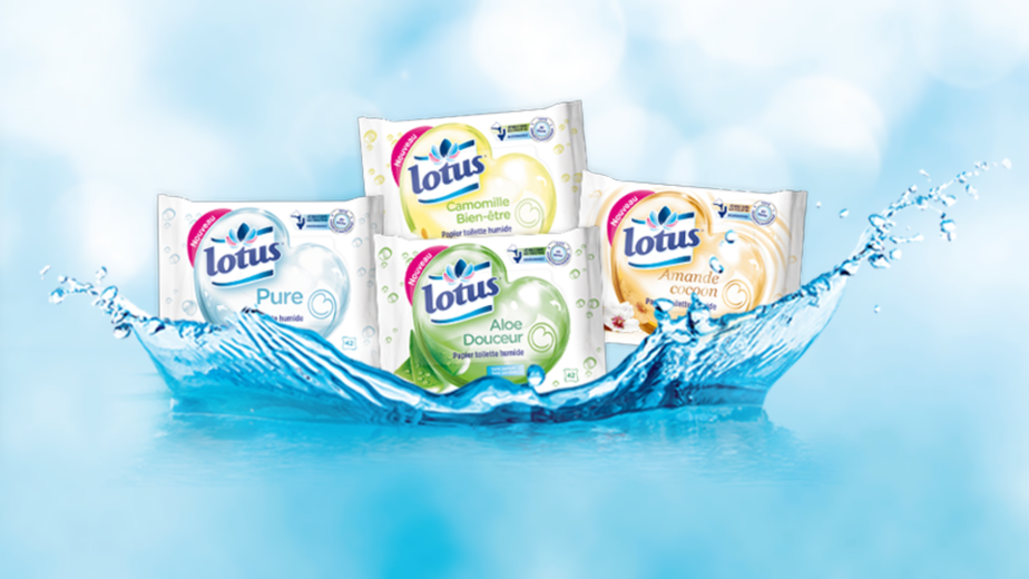 Lotus papier humide
