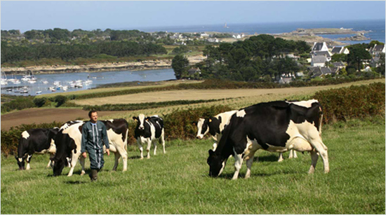  … fabriqués à partir de recettes transmises de génération en génération avec du bon lait de l’Ouest de la France et des ingrédients simples et savoureux.