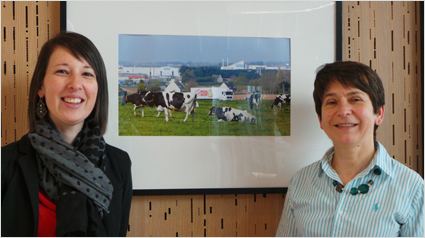 trnd-paysan-breton-fromage-fouette-madame-loik-recettes-tartines-aperitif