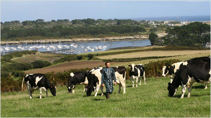 trnd-paysan-breton-marque-cooperative