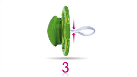 Sentons la finesse de la têtine au niveau du bouclier