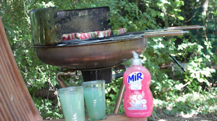 Mir-Cristaux-de-sels_louloute83