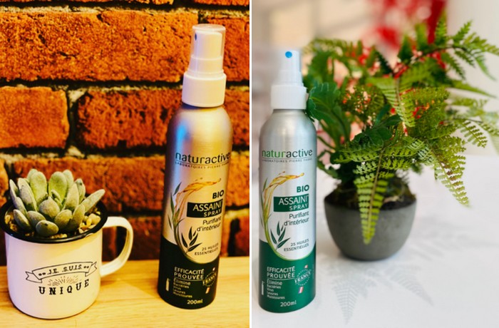 NATURACTIVE Assaini'Spray