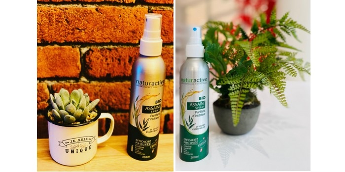 NATURACTIVE Assaini'Spray