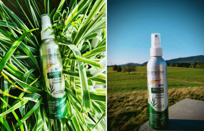 NATURACTIVE Assaini'Spray