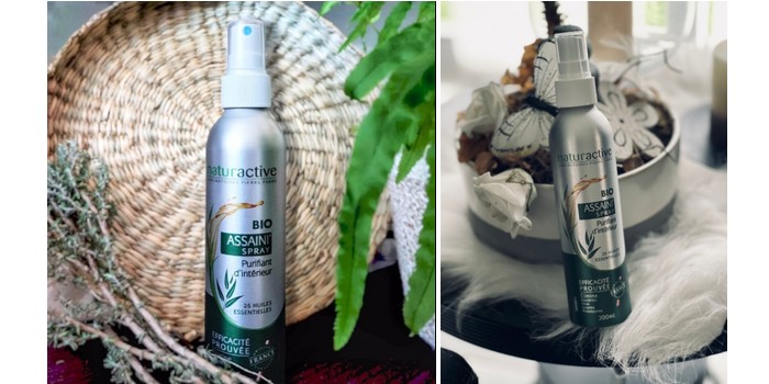 NATURACTIVE Assaini'Spray