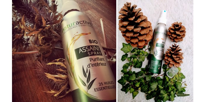 NATURACTIVE Assaini'Spray