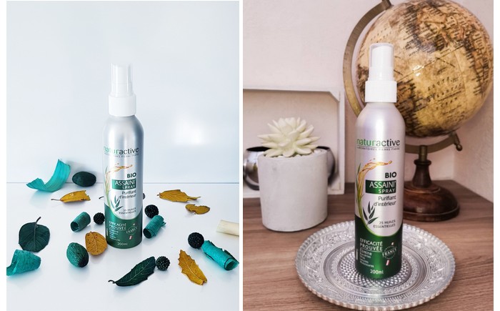 NATURACTIVE Assaini'Spray