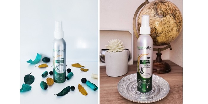 NATURACTIVE Assaini'Spray