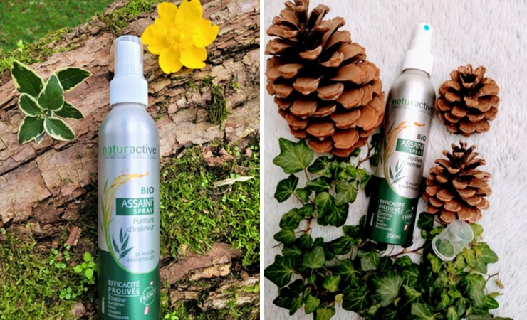 NATURACTIVE Assaini'Spray