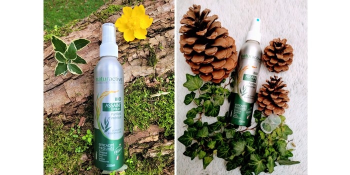 NATURACTIVE Assaini'Spray