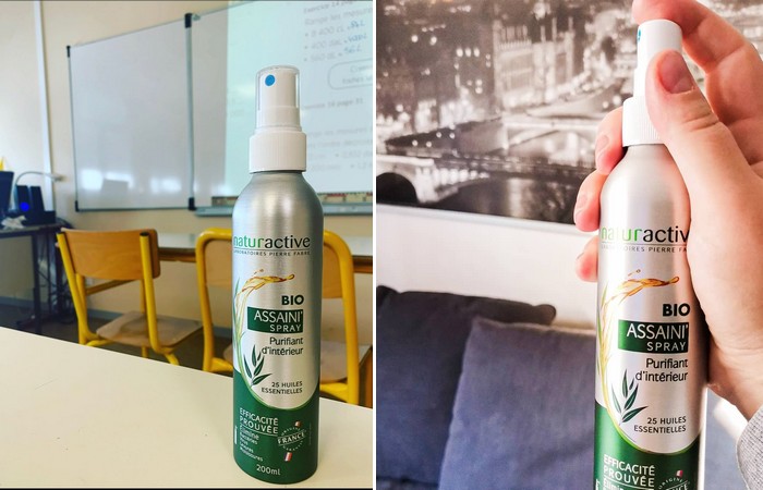 NATURACTIVE Assaini'Spray