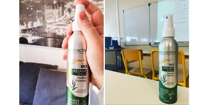 NATURACTIVE Assaini'Spray