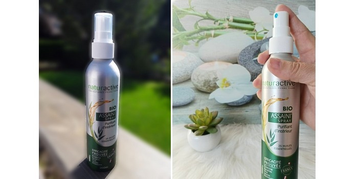 NATURACTIVE Assaini'Spray