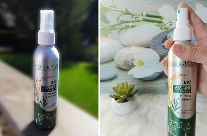 NATURACTIVE Assaini'Spray