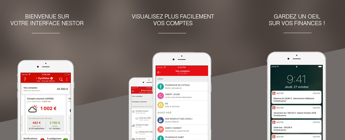 Mon application Nestor