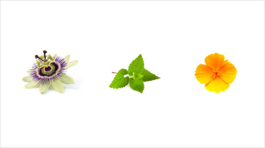 … des ingrédients spécialement sélectionnés : la passiflore, la mélisse, le pavot de Californie ainsi que la mélatonine, hormone que notre corps fabrique déjà naturellement. 