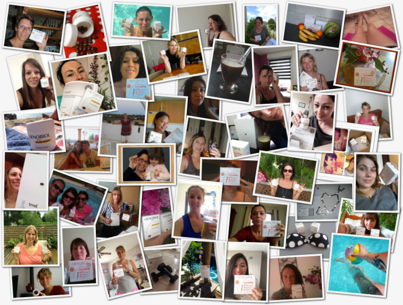 Les participants au projet 