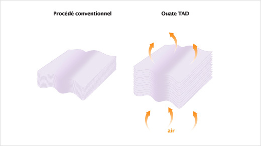 Dotées de la technologie T.A.D. (« Through Air Drying »), ses feuilles sont résistantes, ce qui permet donc d’en consommer moins.