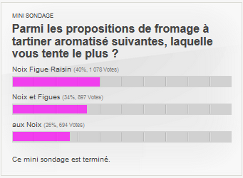 Parmi les propositions de fromage à tartiner aromatisé suivantes, laquelle vous tente le plus ?