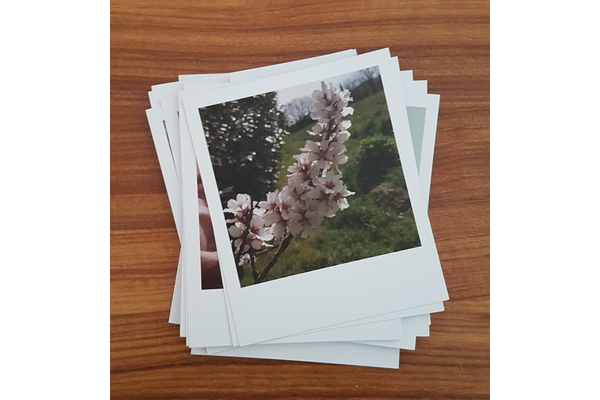 Merci trnder JulieLB pour cette photo !