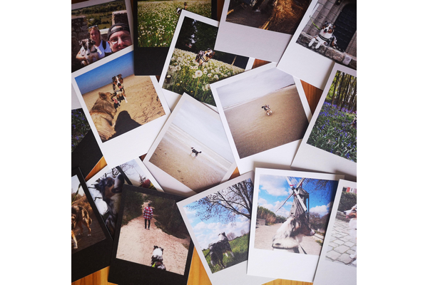 Les belles photos de trnder Julied59