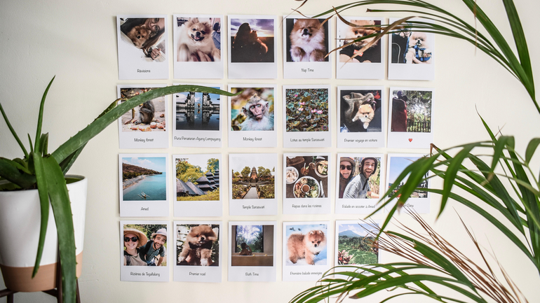 La photo PixPax de trnder marlineR 