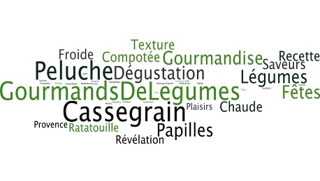 Décrivons la Ratatouille #Cassegrain !