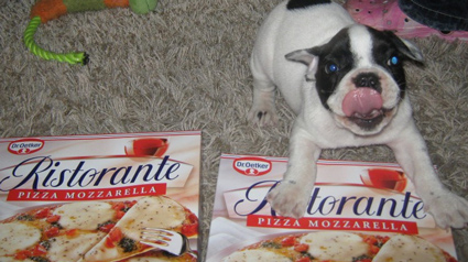 trnd-fr-ristorante-pogona-jpg