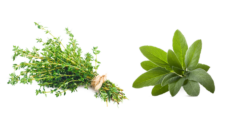 Saugella, des solutions à base d'extraits naturels de plantes