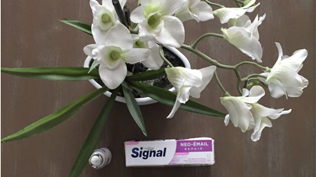 Bonne fin de semaine avec Signal