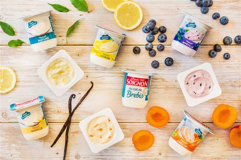 soignon gamme brebis rectancle