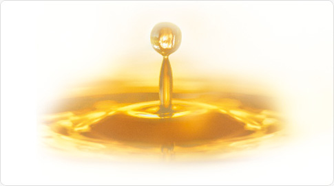  … dont l’huile d’argan bio, connue depuis des siècles pour ses propriétés protectrices et lissantes. Elle est présente dans le soin de jour anti-rides et le lait nourrissant pour le corps NIVEA Pure & Natural.