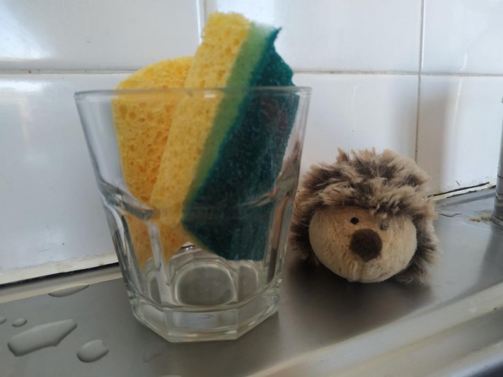 eponge pliée avec herisson spontex