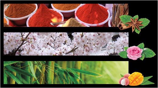 La nouvelle gamme CREATION de Twinings se compose de trois mélanges de thés verts : Menthe Epices, Rose Menthe et Mangue Litchi. Lequel sera notre préféré ?