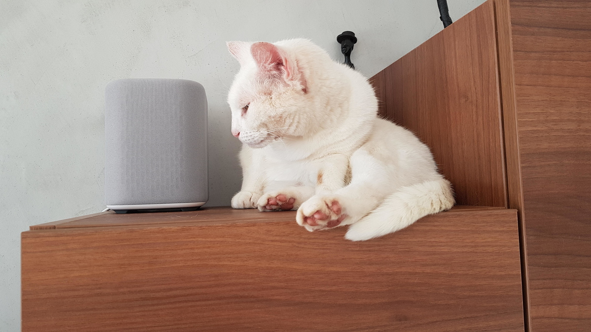 Chez trnder nat83210, "même le chat l'adore !"