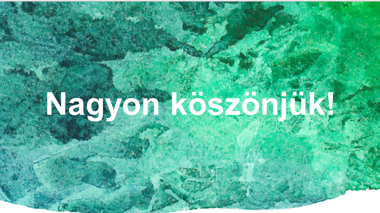 Közös projektünk legszebb pillanatai!