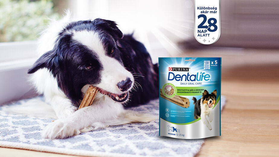 Purina® DentaLife®