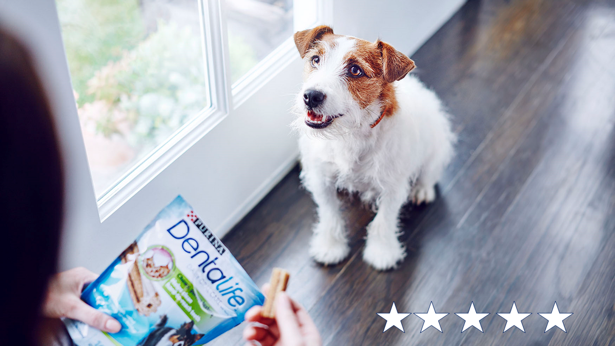 Hány csillaggal értékelitek a Purina® DentaLife® termékeket?