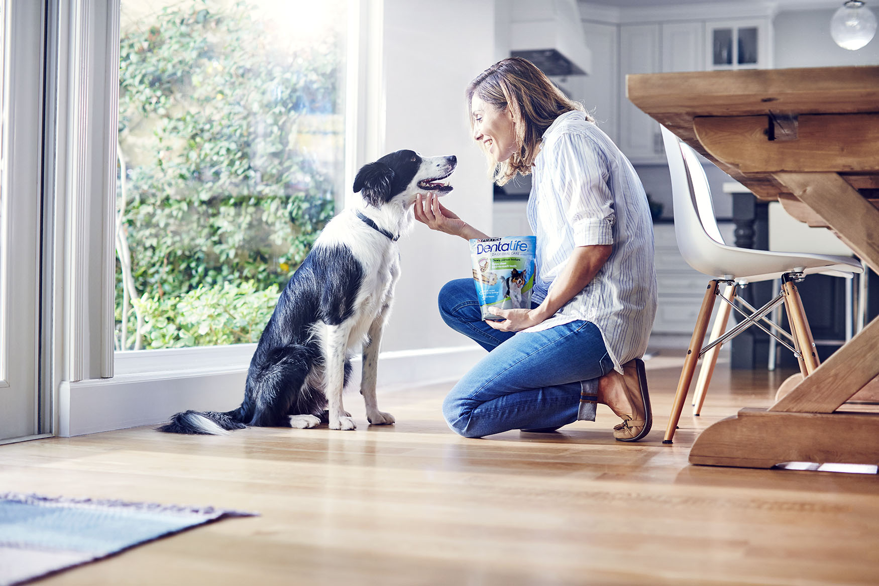 Köszöntünk Purina® DentaLife® projektünkben! 