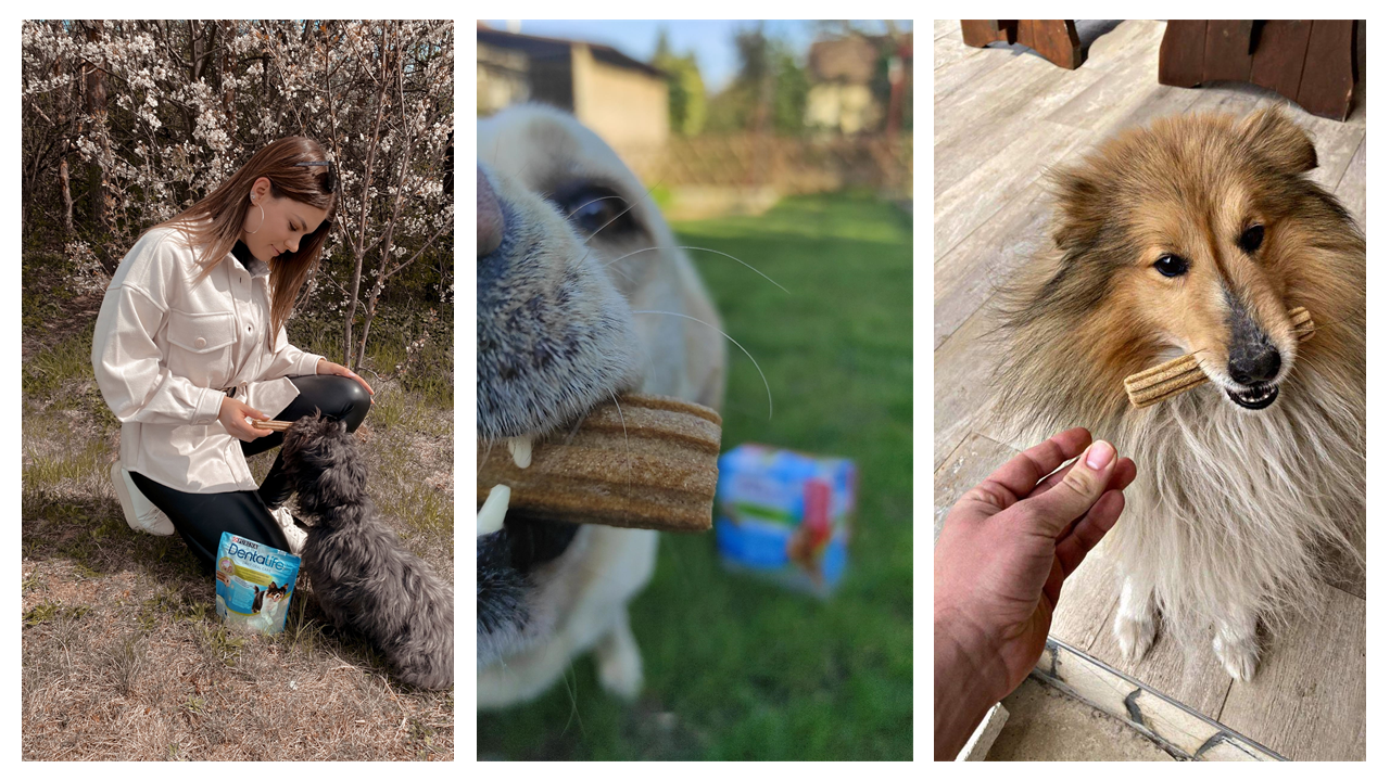 #mindennapegydentalife pillanatok az Instagramon