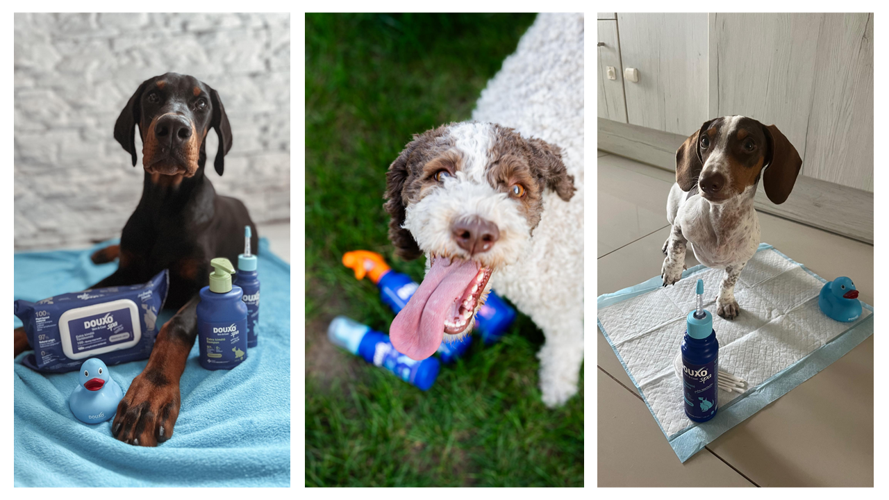 DOUXO® Skin & Coat SPA