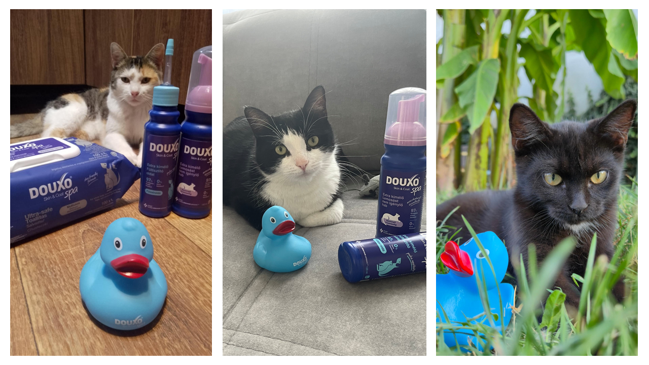 DOUXO® Skin & Coat SPA