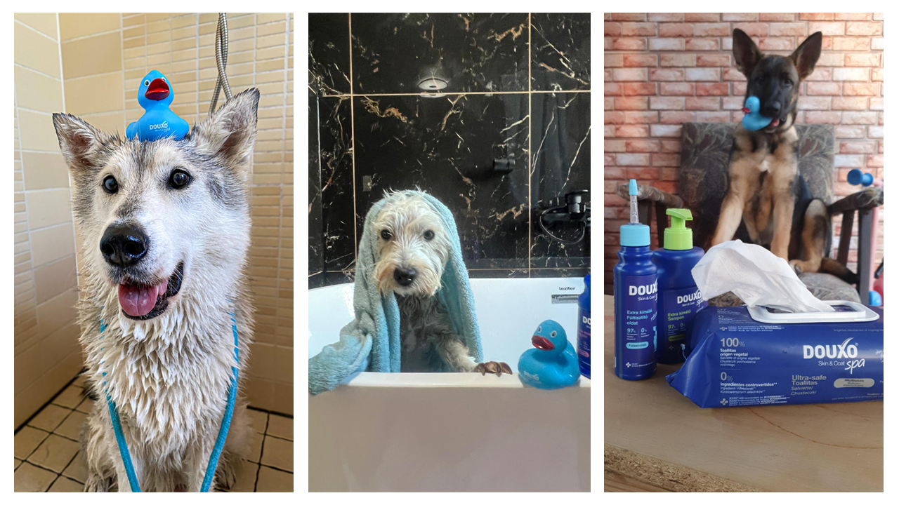 DOUXO® Skin & Coat SPA