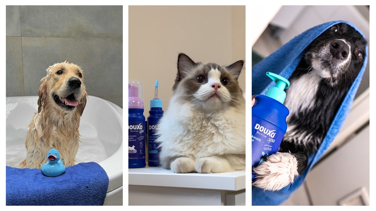 DOUXO® Skin & Coat SPA