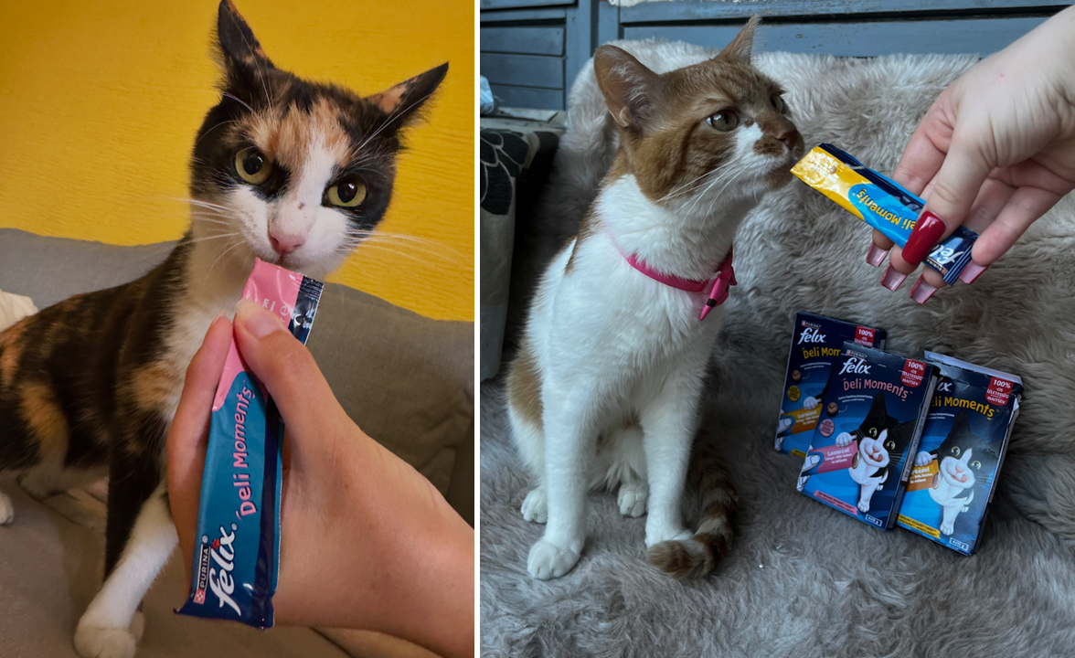 FELIX Deli Moments
